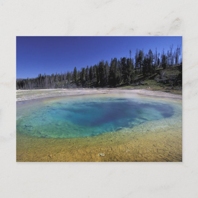 NA, USA, Wyoming, Yellowstone National Park. 2 Vykort (Framsida)