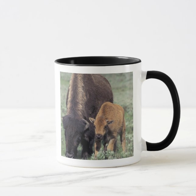 NA, USA, Wyoming, Yellowstone National Park. Mugg (Höger)