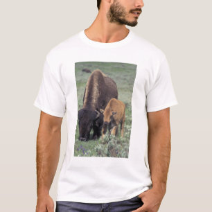 NA, USA, Wyoming, Yellowstone National Park. T Shirt