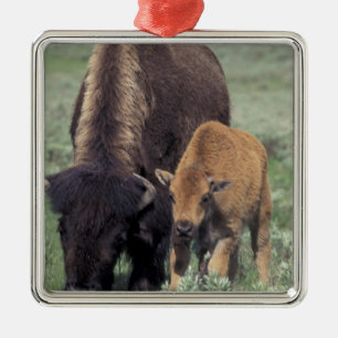 NA, USA, Wyoming, Yellowstone nationalpark. Julgransprydnad Metall