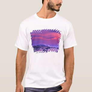 NA, USA, Wyoming, Yellowstone NP, Lamar Valley T-shirt