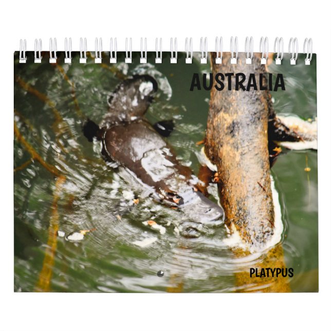 NÄBBDJUR AUSTRALIEN KALENDER (Omslag)