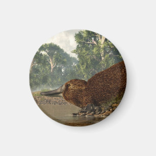 Näbbdjur på kusten magnet