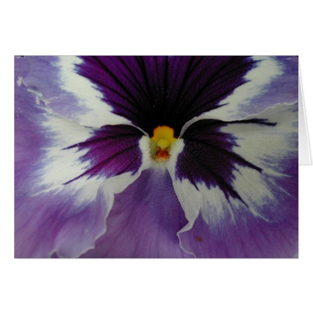 näbben av en pansy? hälsningskort (Framsidan Horizontal)