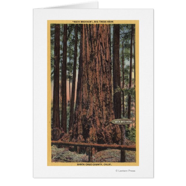 "Nacke Breaker" i Big Träd Park Hälsningskort (Framsidan)