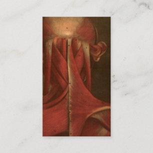 Nacke för vintageanatomi   visitkort