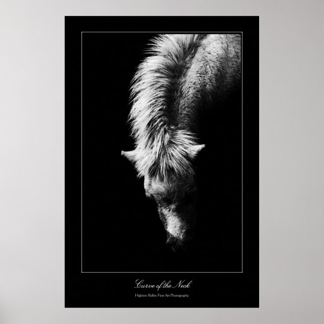 Nacke, galleriet stil poster (Framsidan)