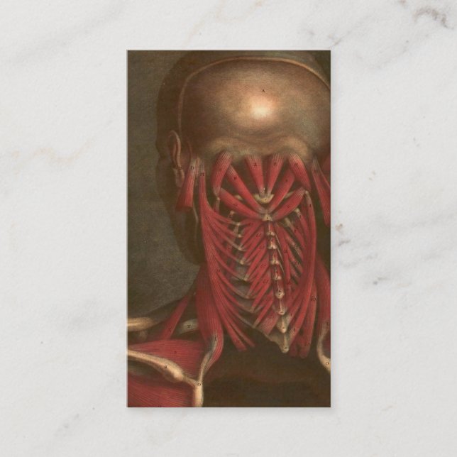 Nacken för vintageanatomi | och knuffar visitkort (Framsida)