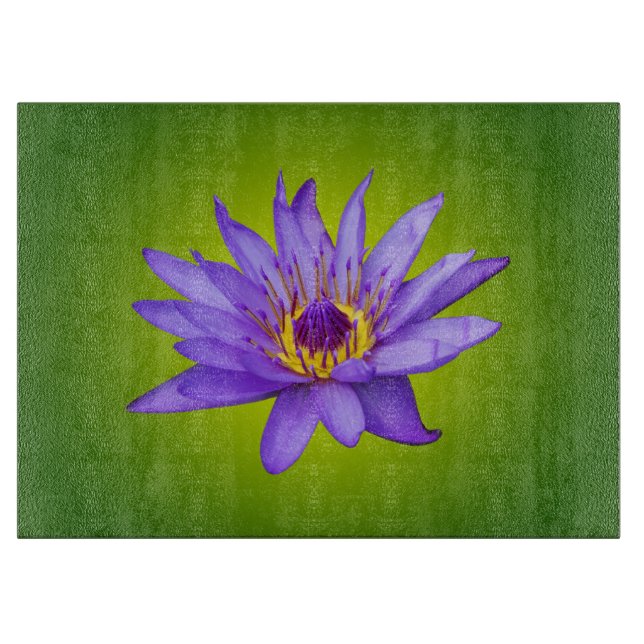Näckros Blomster Damm Akvatisk Lila Vattenblomning (Framsidan)