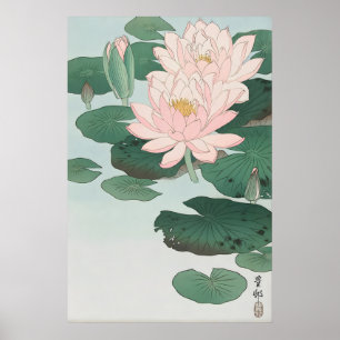 Näckros Finkonsttryck Ohara Koson Japansk Poster