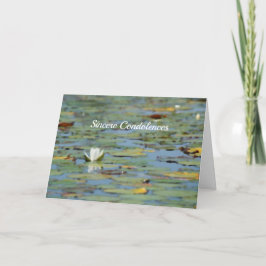 Näckros Lake Blomma Akvarell Sympati Kort