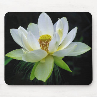 Näckros Mousepad Musmatta