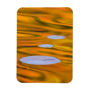 Näckrosblad på orange vatten, Kanada Magnet