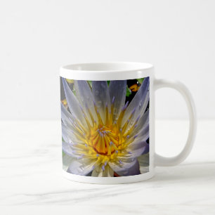 Näckrosblått & guld kaffemugg