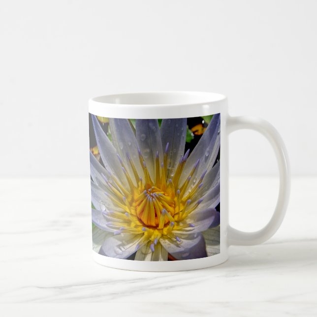 Näckrosblått & guld kaffemugg (Höger)