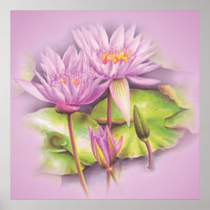 Näckroslila blommoraffisch poster