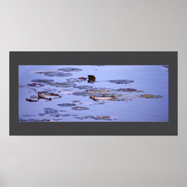 Näckrosor Fotoaffisch Poster (Framsidan)