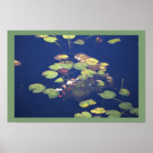 Näckrosor Fotoaffisch Poster