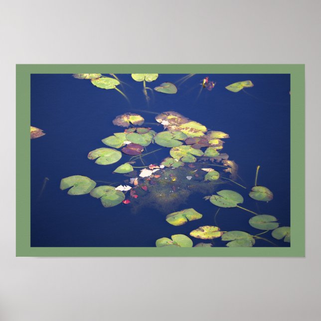 Näckrosor Fotoaffisch Poster (Framsidan)