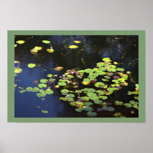 Näckrosor Fotoaffisch Poster