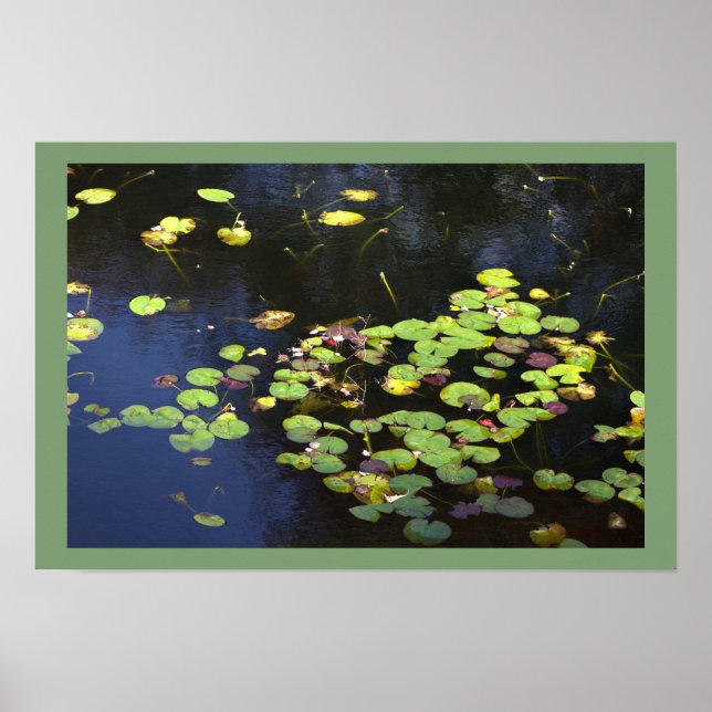 Näckrosor Fotoaffisch Poster (Framsidan)