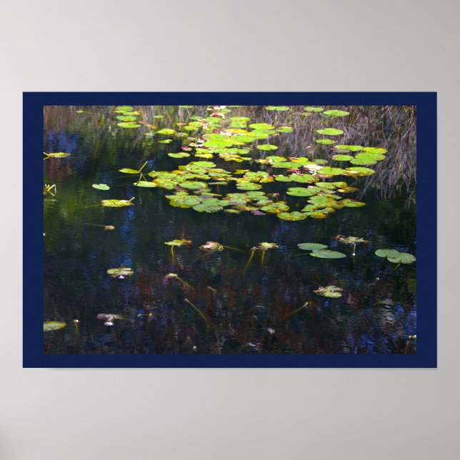 Näckrosor Fotoaffisch Poster (Framsidan)