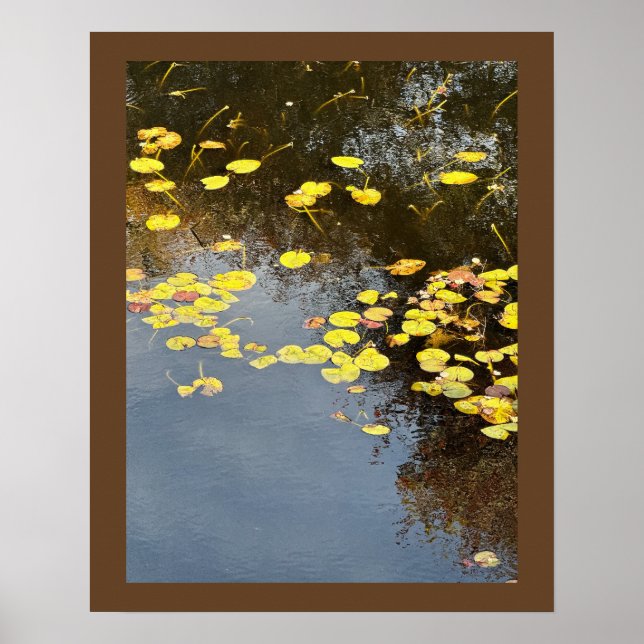 Näckrosor Fotoaffisch Poster (Framsidan)