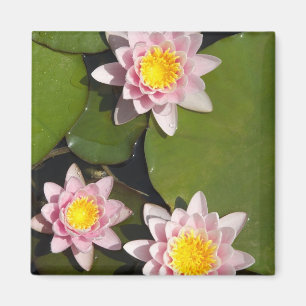 Näckrosor Magnet