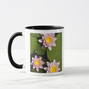 Näckrosor Mugg