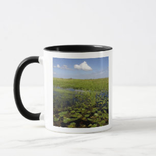 Näckrosor och såggräs i Florida everglades Mugg