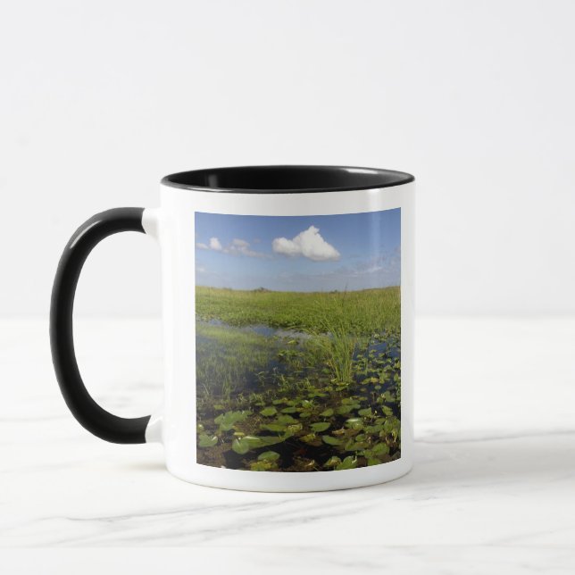 Näckrosor och såggräs i Florida everglades Mugg (Vänster)