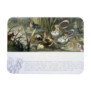 Näckrosor och vattenälvor, illustration från magnet