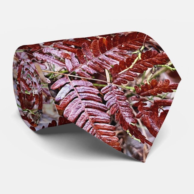 Nackslin/rödbräda Slips (Rullad)