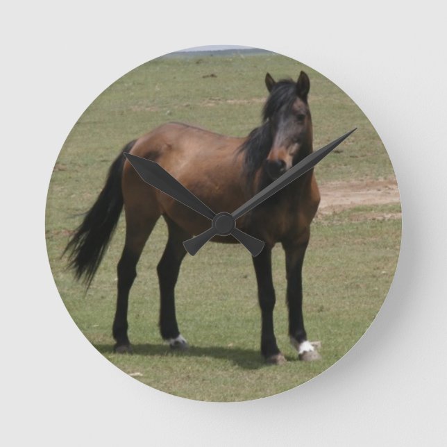 Nacoma Mustang Rund Klocka (Framsida)