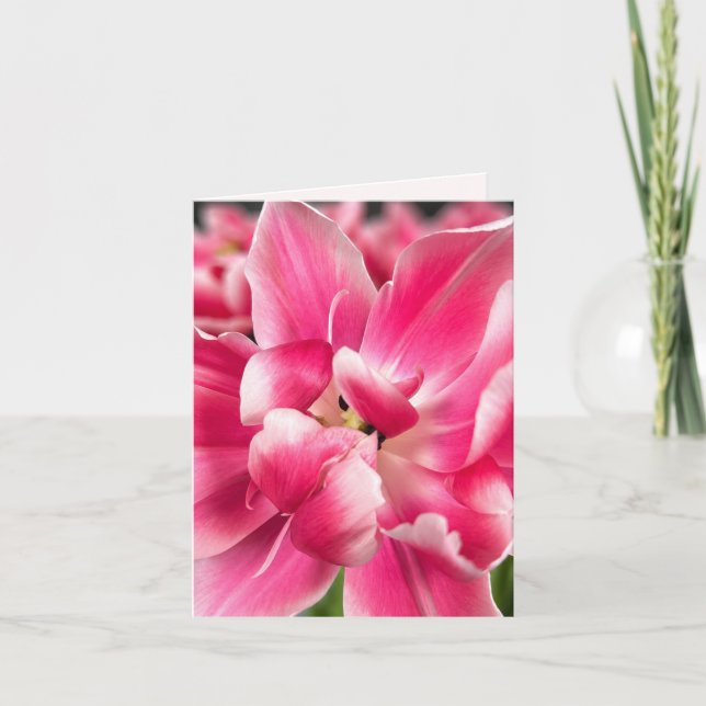 Nåd i varje årstid | Rosa Tulpan Vikad Välkomsthäl Kort (Framsida)