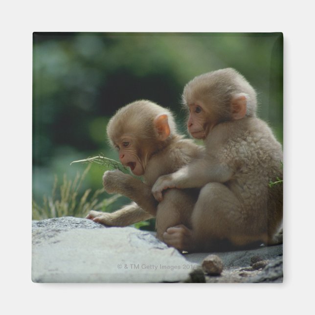 Nagano prefecture, Japan Magnet (Framsidan)