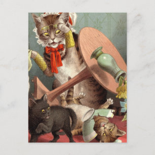 Naghty Cats vykort