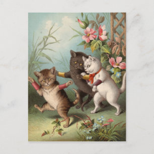 Naghty Cats vykort