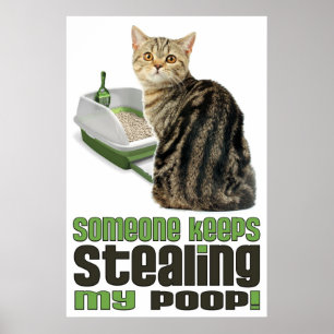 Någon Behålla som poster min Poop-kattlover