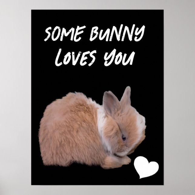 Någon Bunny Kärlek You Poster (Framsidan)