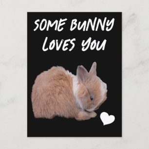Någon Bunny Kärlek You Vykort