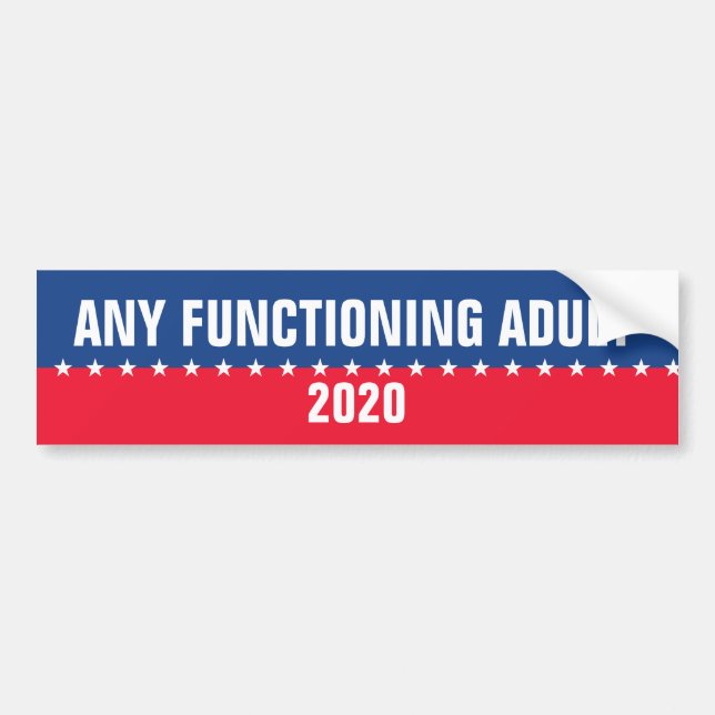 Någon fungera vuxenbildekal 2020 bildekal (Framsidan)