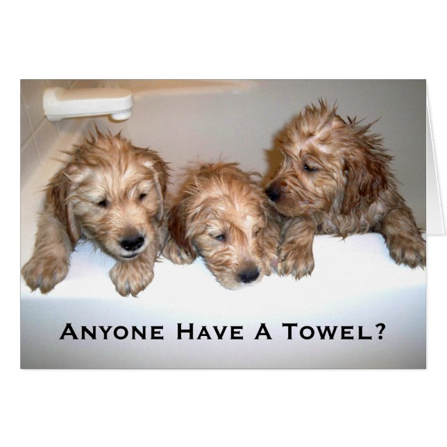 Någon har en handduk? hälsningskort (Framsidan Horizontal)