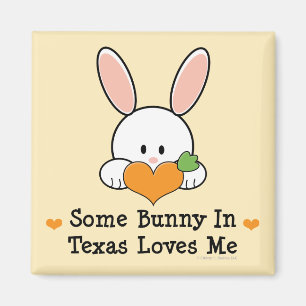 Någon kanin i Texas älskar mig magneten Magnet