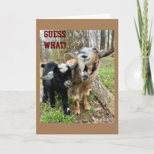 NÅGON "MYCKET SPECIELL" HAR EN **BIRTHDAY** KORT