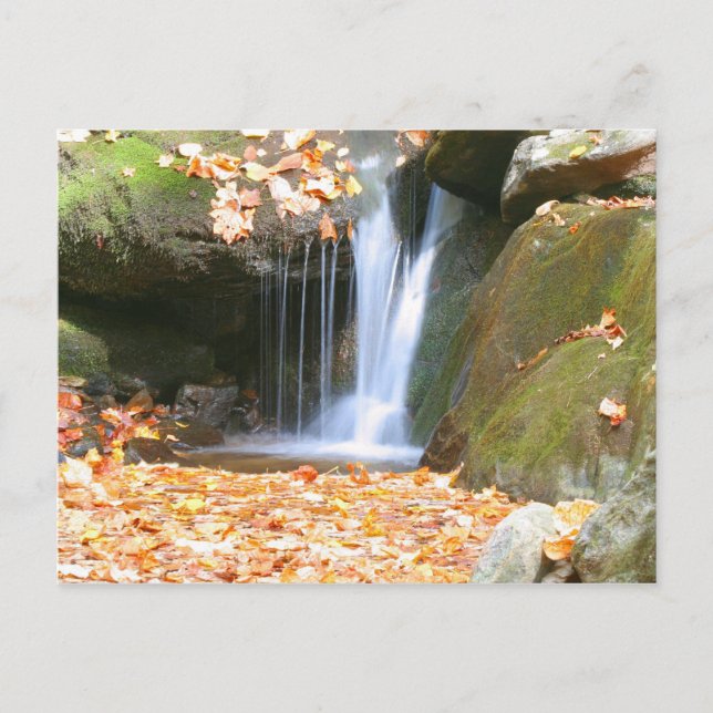 Något annat vykort (Framsida)