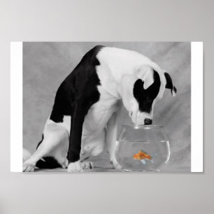 Något att äta kanske? poster