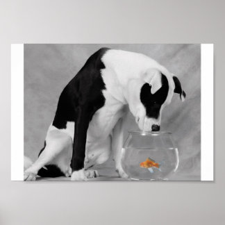 Något att äta kanske? poster