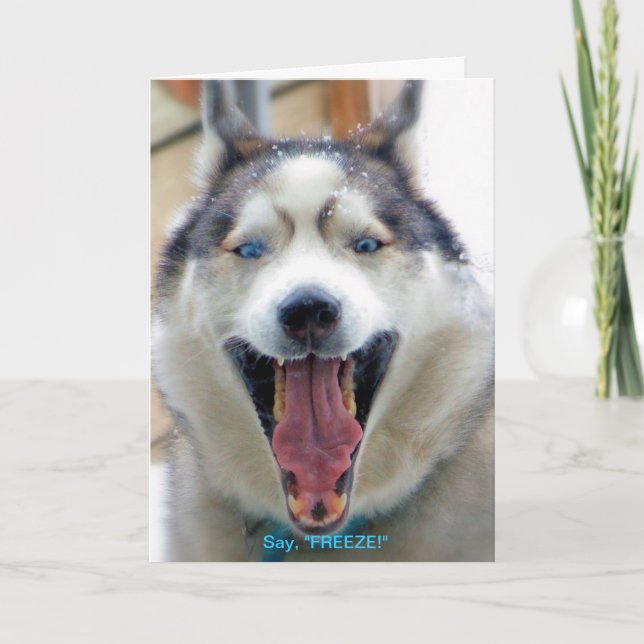 Något att säga ", det FRYSNING" hälsningkortet Kort (Framsida)