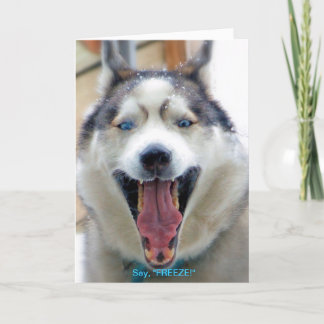 Något att säga ", det FRYSNING" hälsningkortet Kort